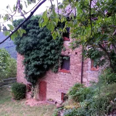 Immersa nella natura